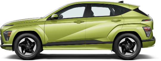 Expert EV Service